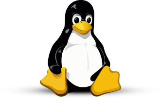 Linux cloud VDS Turkey